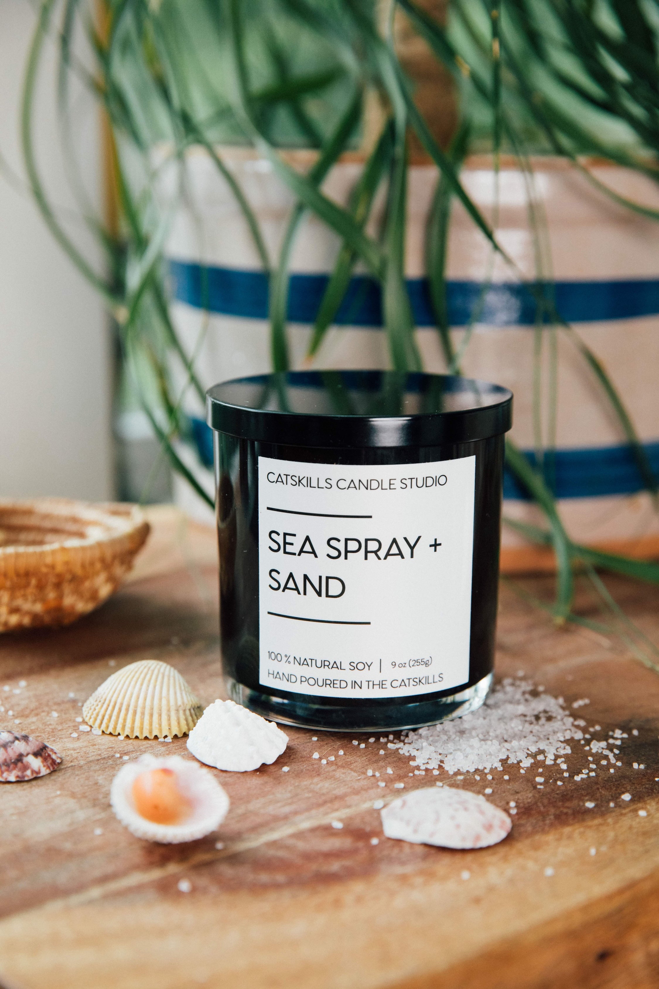 Sea Spray + Sand