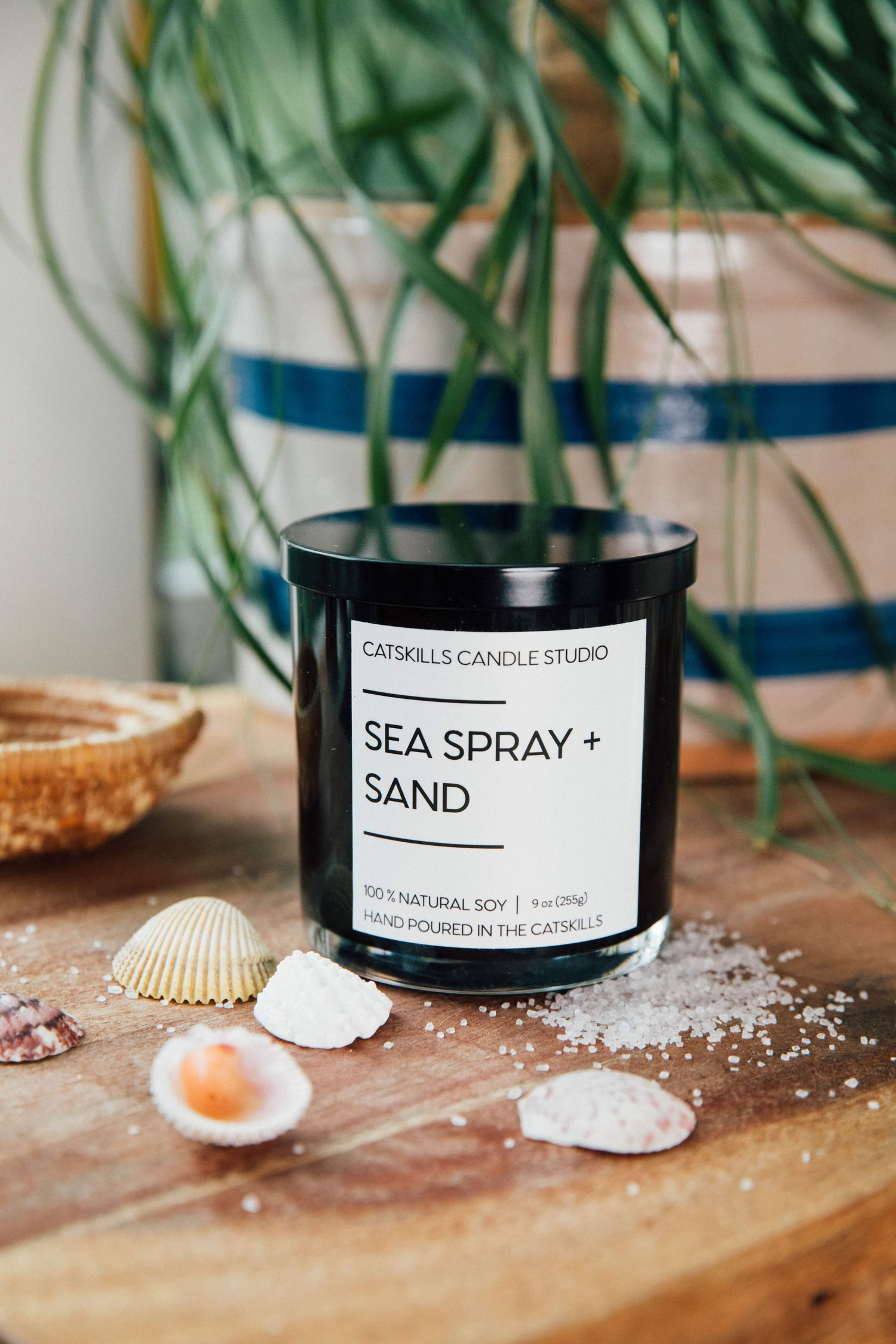 Sea Spray + Sand